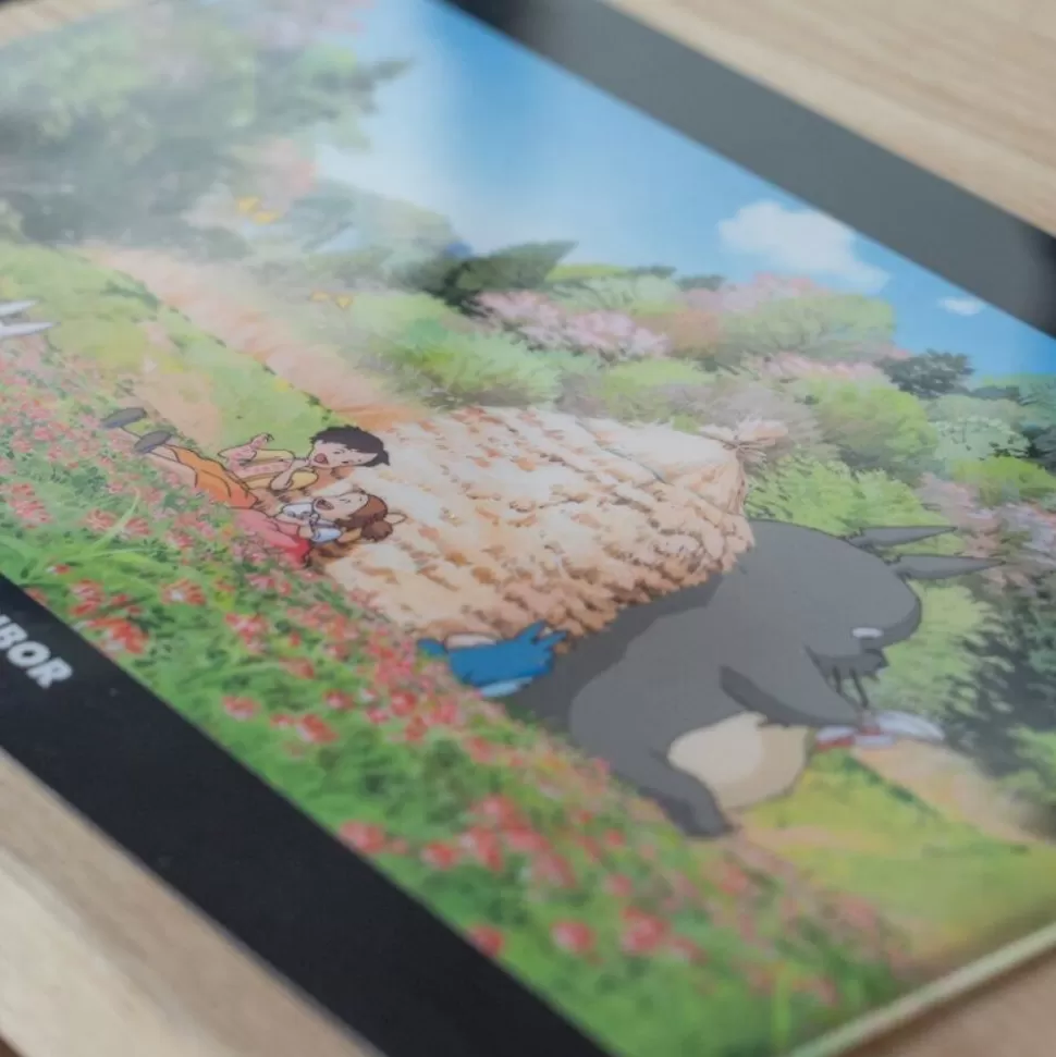 Maison Ghibli A4 Size Clear Folder Afternoon - My Neighbour Totoro- Storage