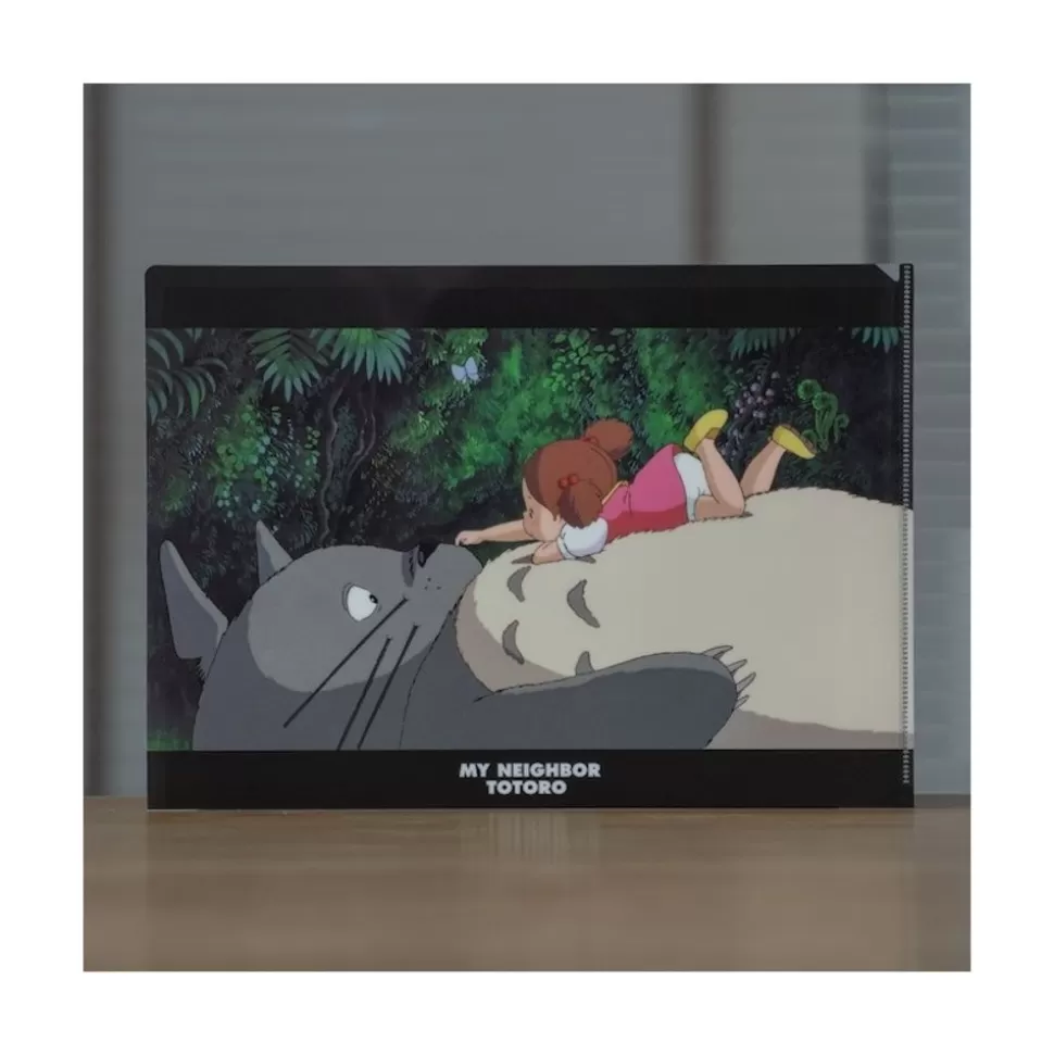 Maison Ghibli A4 Size Clear Folder On The Tummy - My Neighbour Totoro- Storage
