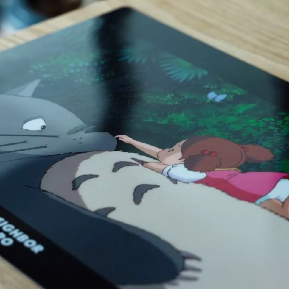 Maison Ghibli A4 Size Clear Folder On The Tummy - My Neighbour Totoro- Storage