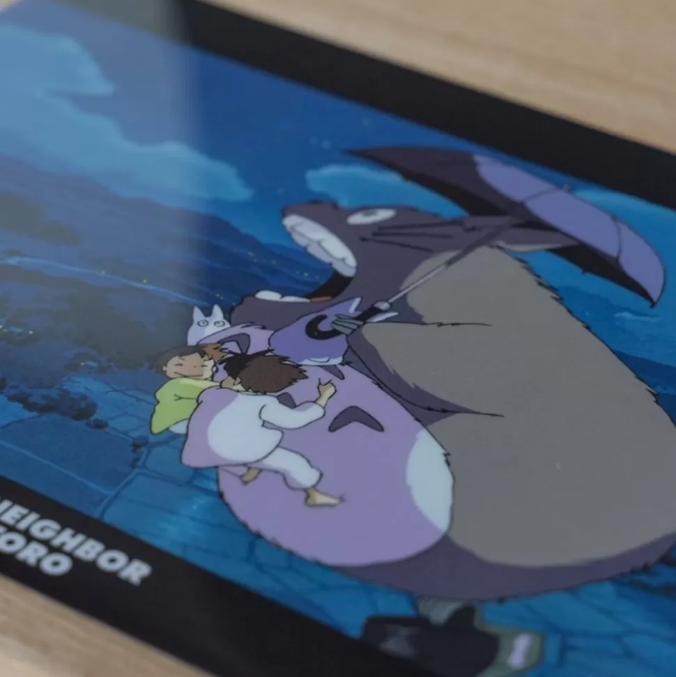 Maison Ghibli A4 Size Clear Folder Walk Of The Night Sky - My Neighbour Totoro- Storage